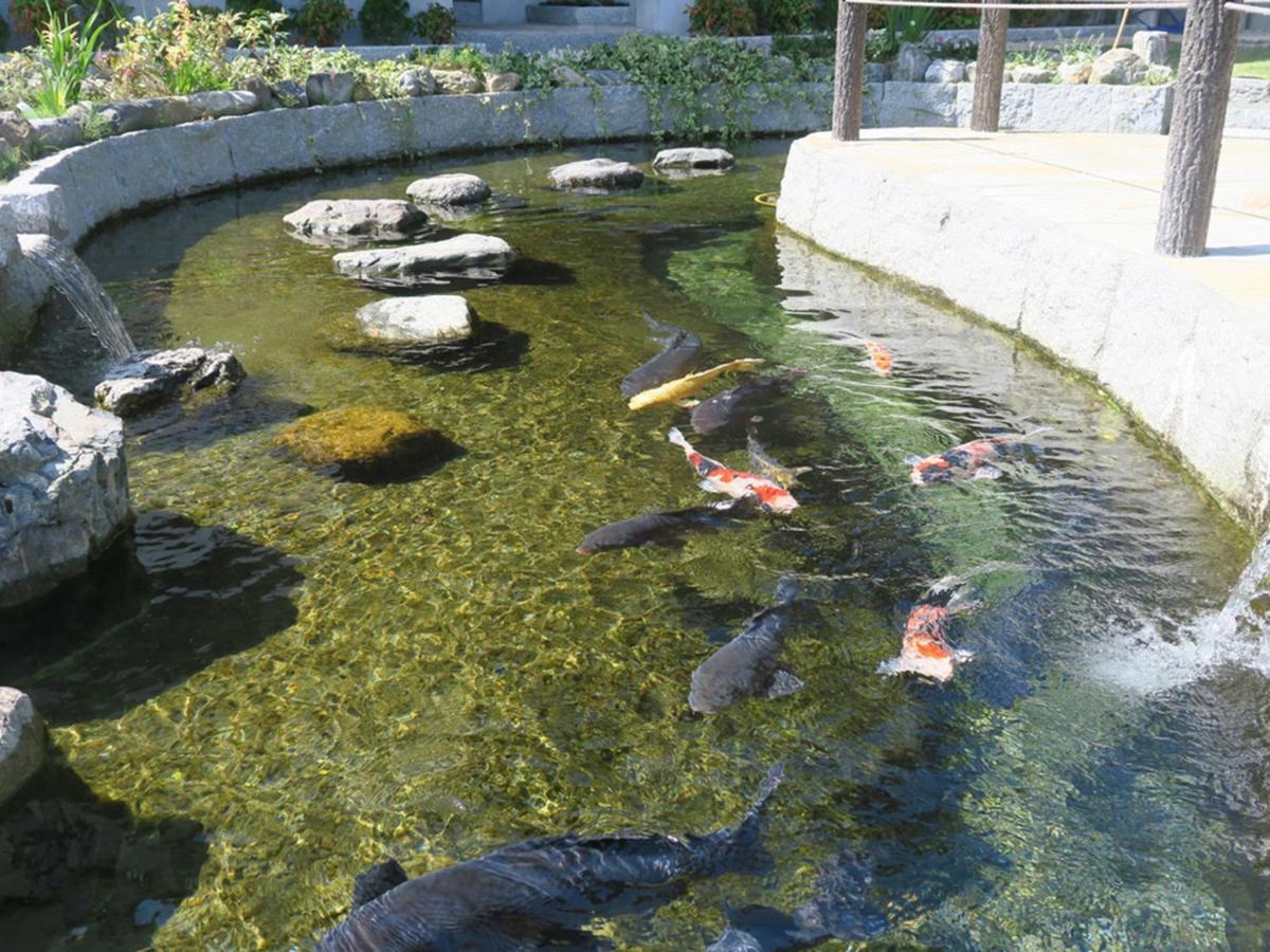 เรซิน โฮม ฮารี Hotel Takashima ภายนอก รูปภาพ